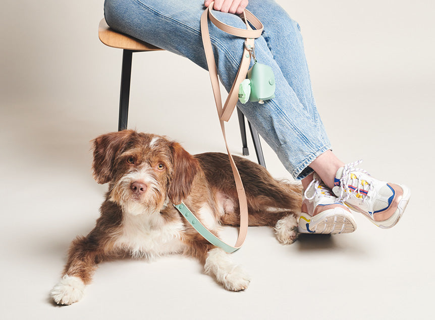 PAWNESS Vegan Leather Dog leash - Emerald (Made in ITALY)