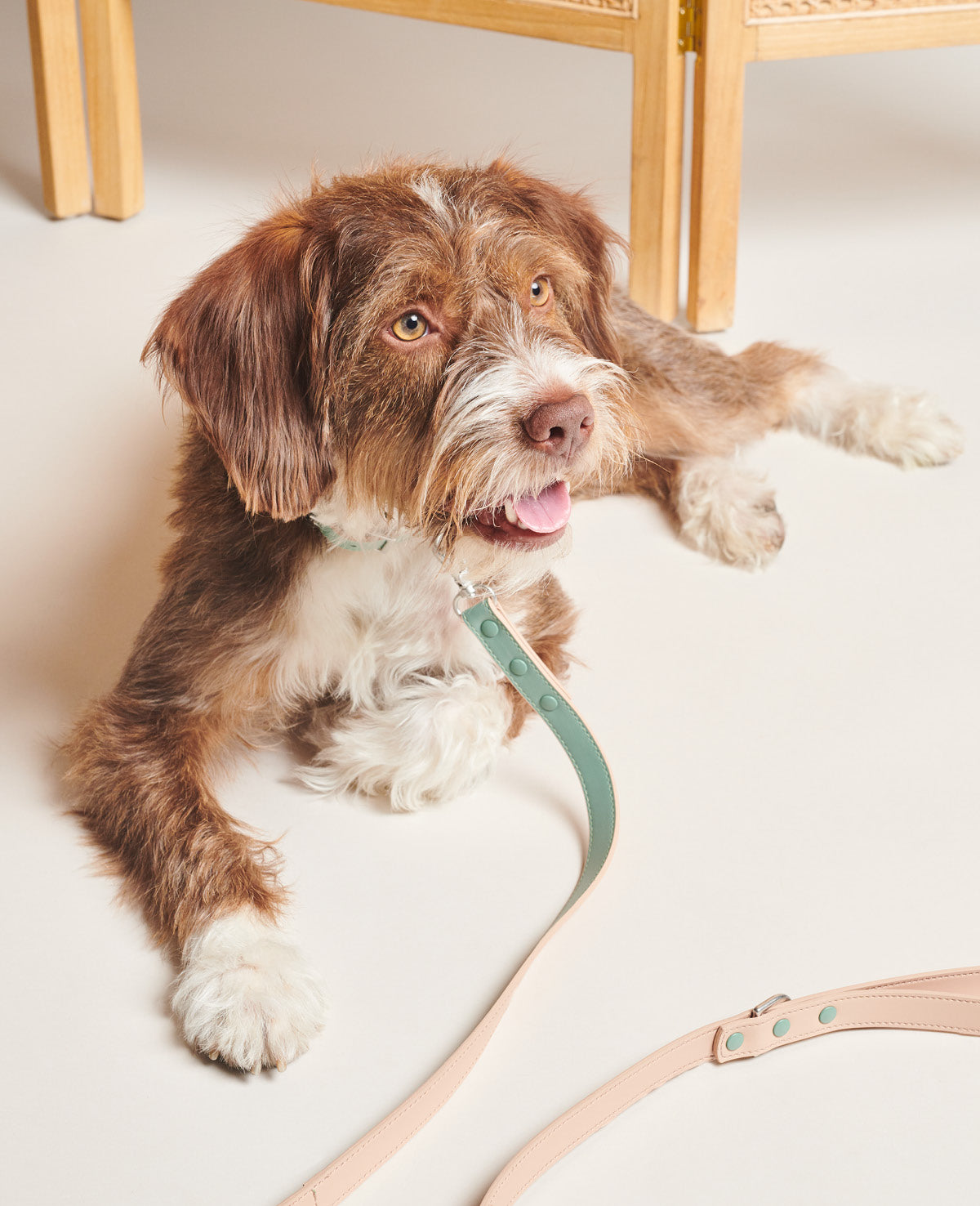 PAWNESS Vegan Leather Dog leash - Emerald (Made in ITALY)