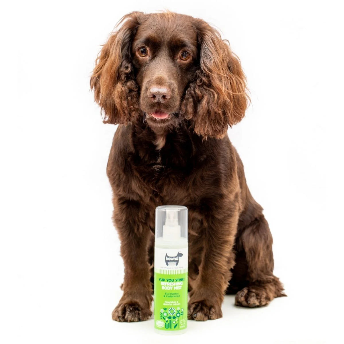 Yup You Stink! Refreshing Body Mist (250ml)