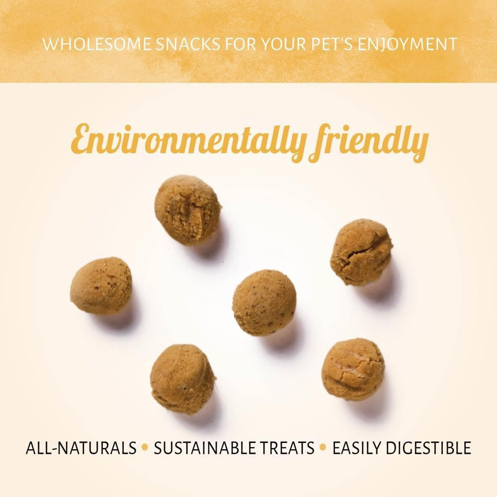 Insecta Nibbles Cricket & Sweet Potato 100g