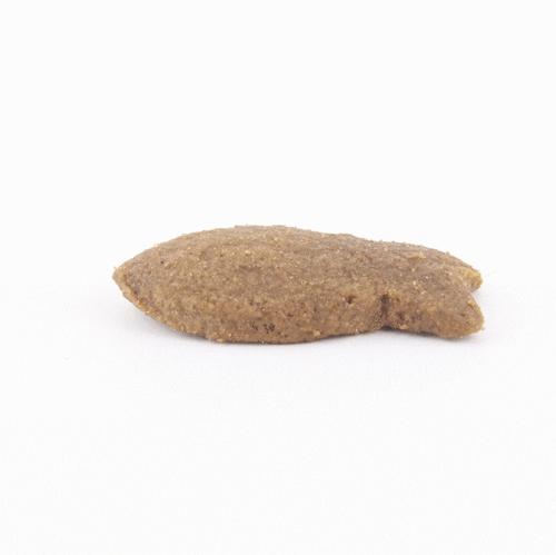 FISH4DOGS SKIN & COAT MACKEREL MORSELS (225g)