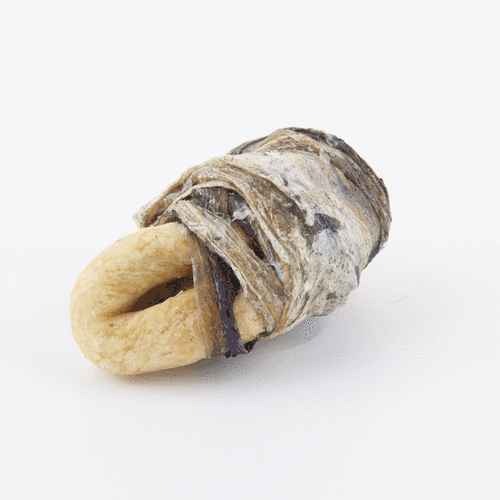 FISH4DOGS Apple Fish Wraps (100g)