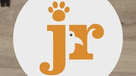 Jr Beef Tendons (250g)