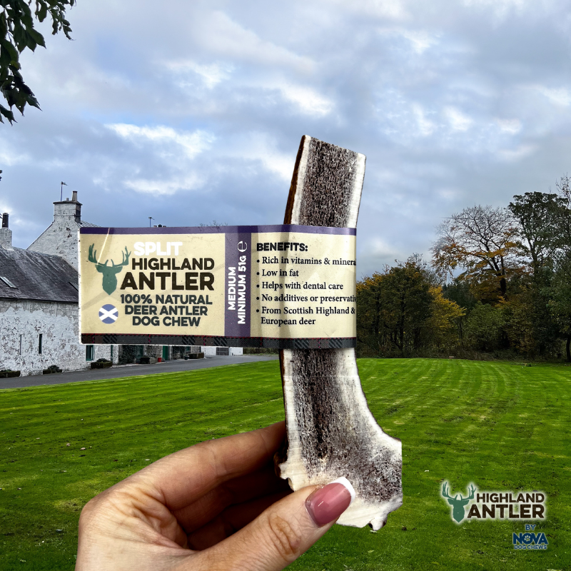 NOVA Antler Split Medium (51g-80g)