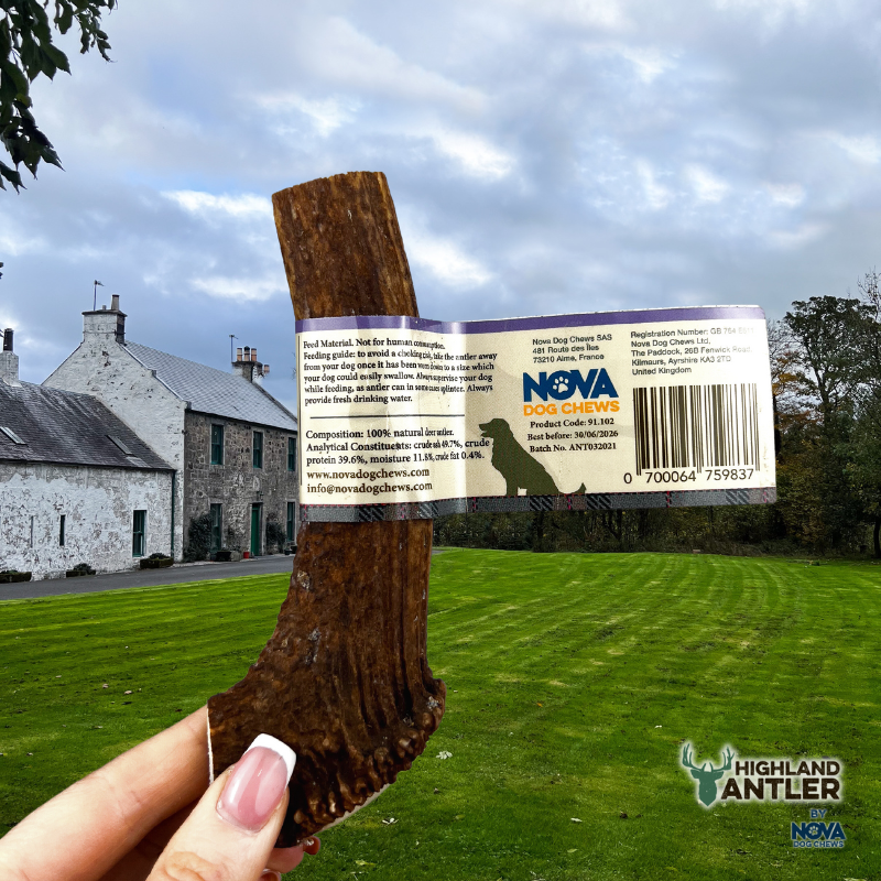 NOVA Antler Split Medium (51g-80g)