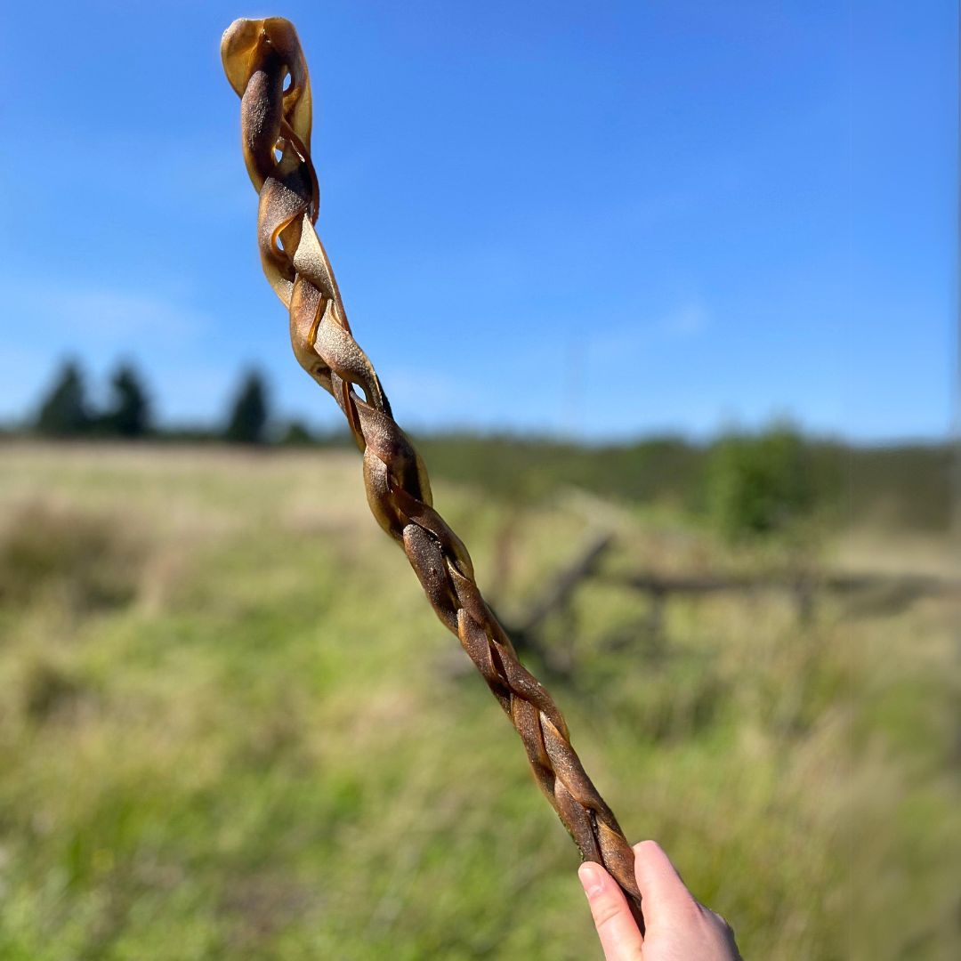 NOVA XL Camel Skin Braided (50cm)