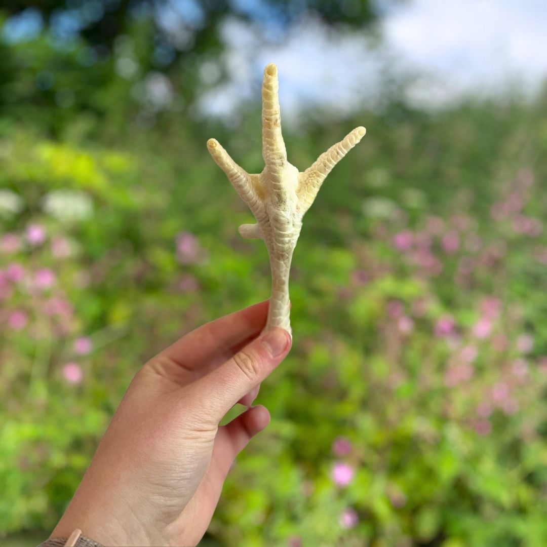 NOVA Chicken Feet Puffed