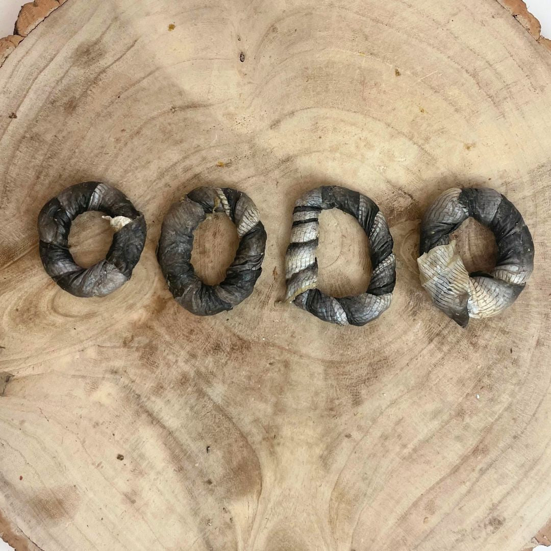 NOVA Fish Skin Donuts