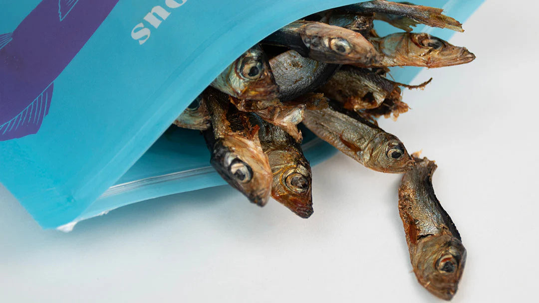 Buddylicious Dried Sea Sprats - 100% natural (80g)