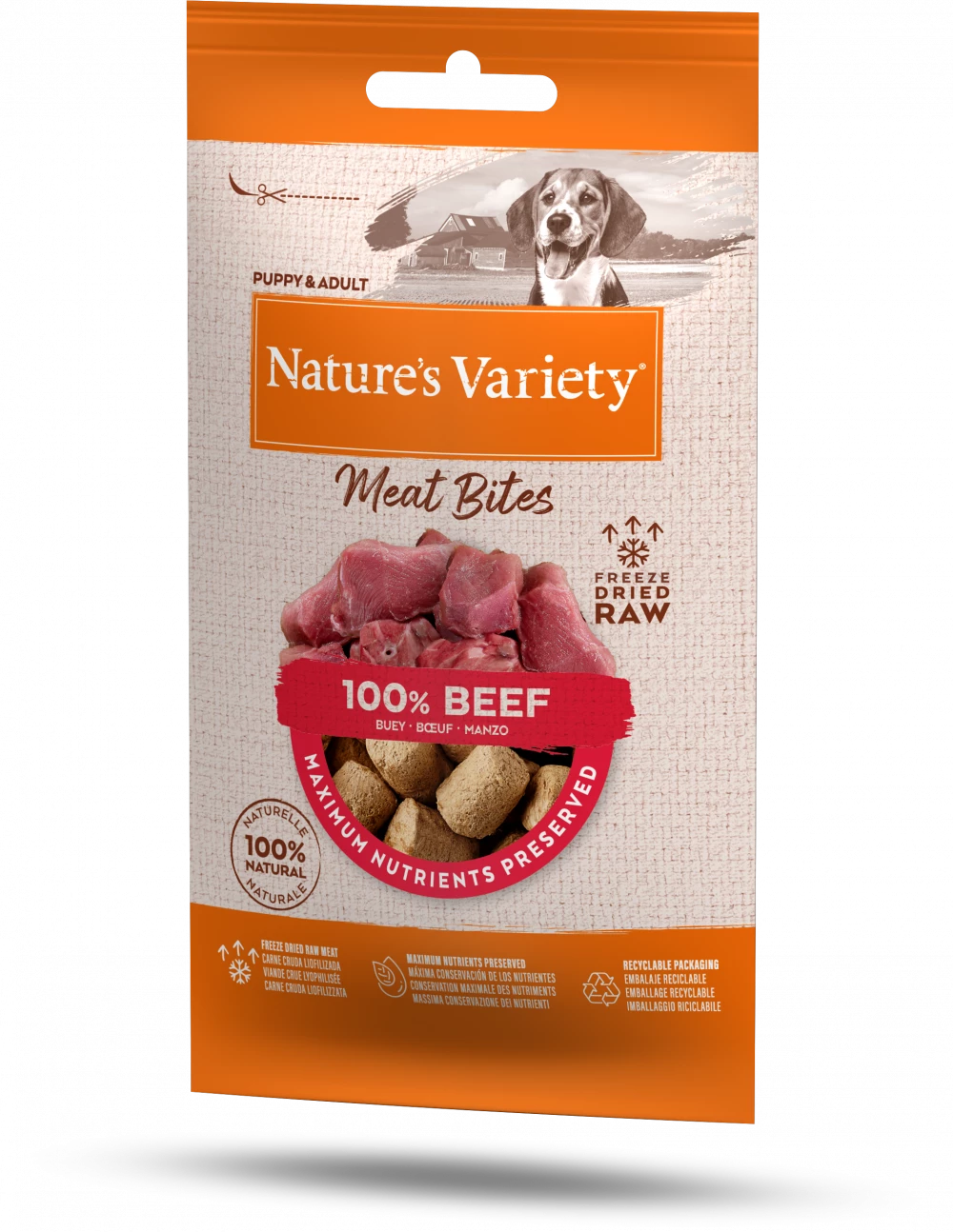 Nature’s Variety Freeze Dried Meat Bites - 100% Beef (20g)