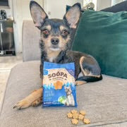 SOOPA Apple & Blueberry Healthy Bites