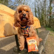 SOOPA Carrot & Pumpkin Healthy Bites