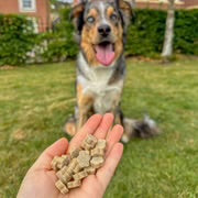 SOOPA Carrot & Pumpkin Healthy Bites