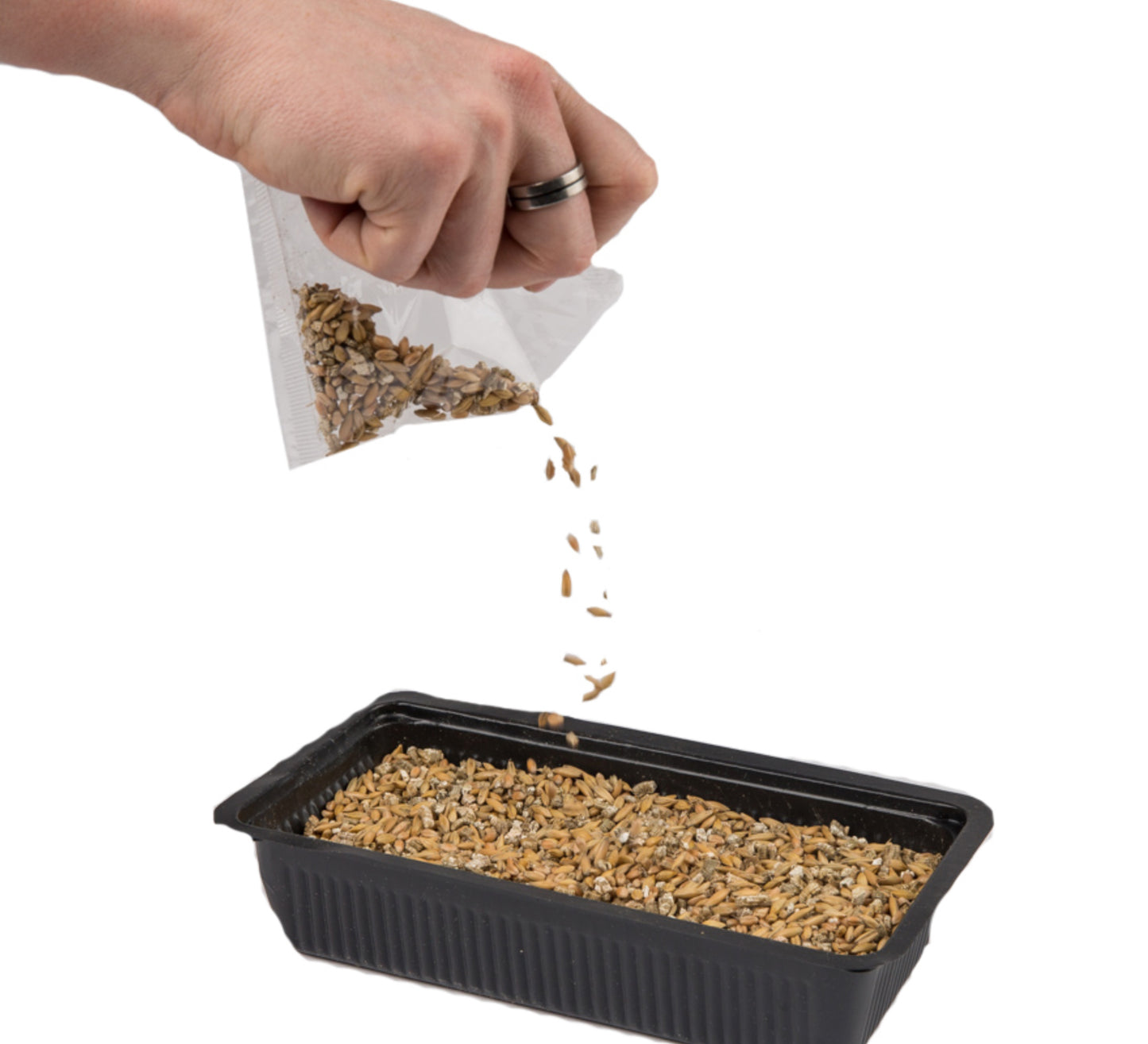 Vitakraft Cat Grass (120g)