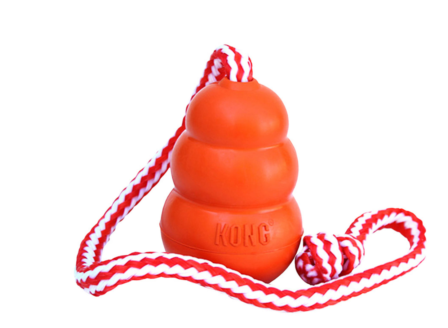 KONG® (Cool) Aqua On Rope, Large