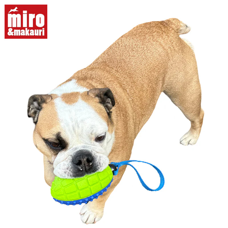 Miro & Makauri Rubber Rugby Fetch Ball
