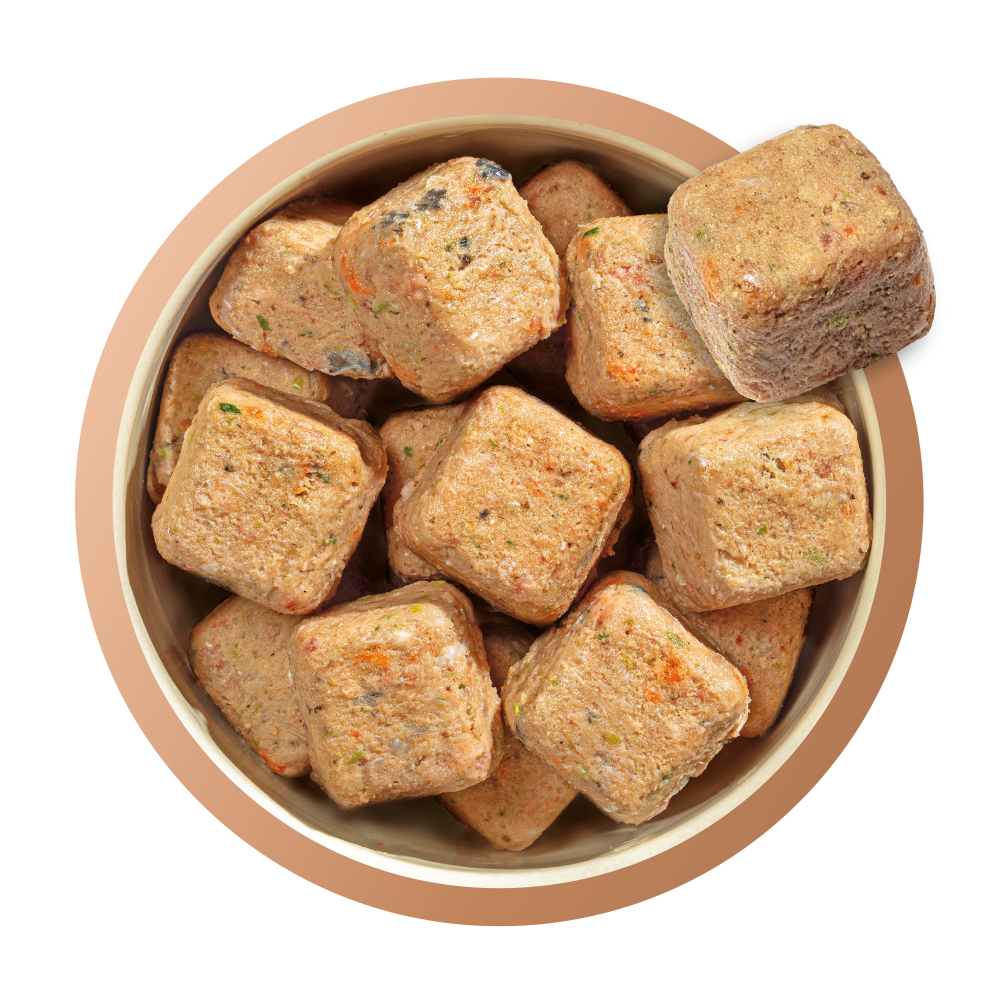Natures Menu 80% Salmon & Chicken, 1 kg (Raw Frozen)