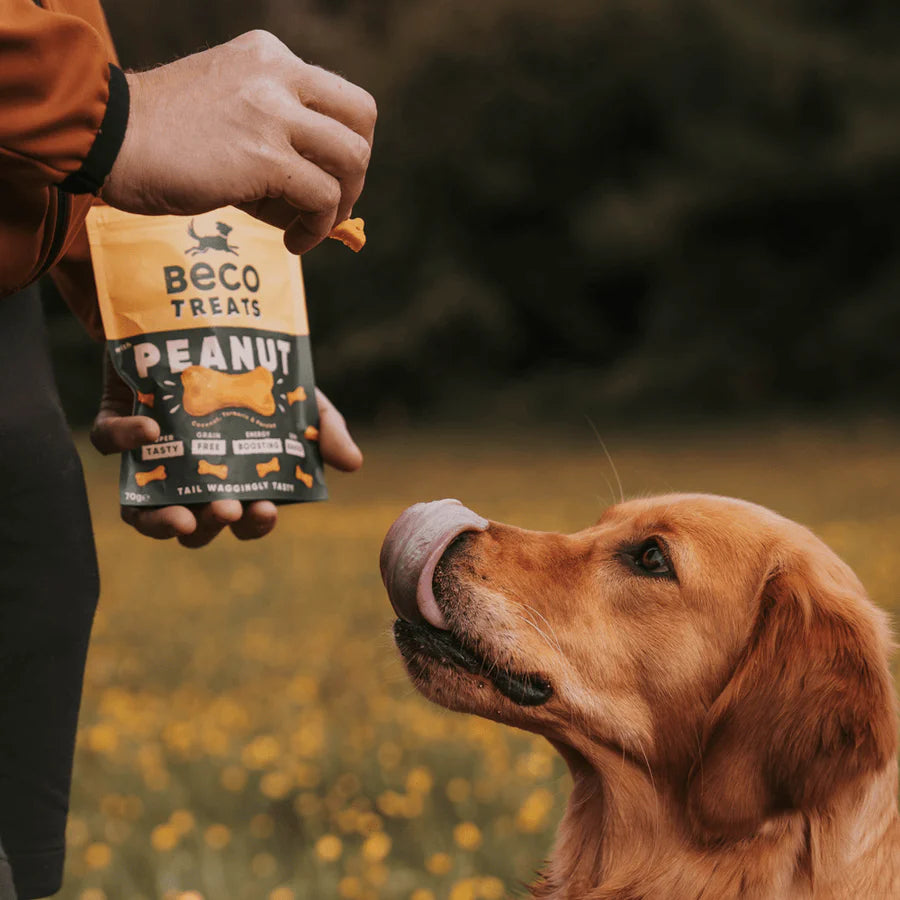 Beco : Peanut Dog Treats with Coconut & Turmeric (70g)
