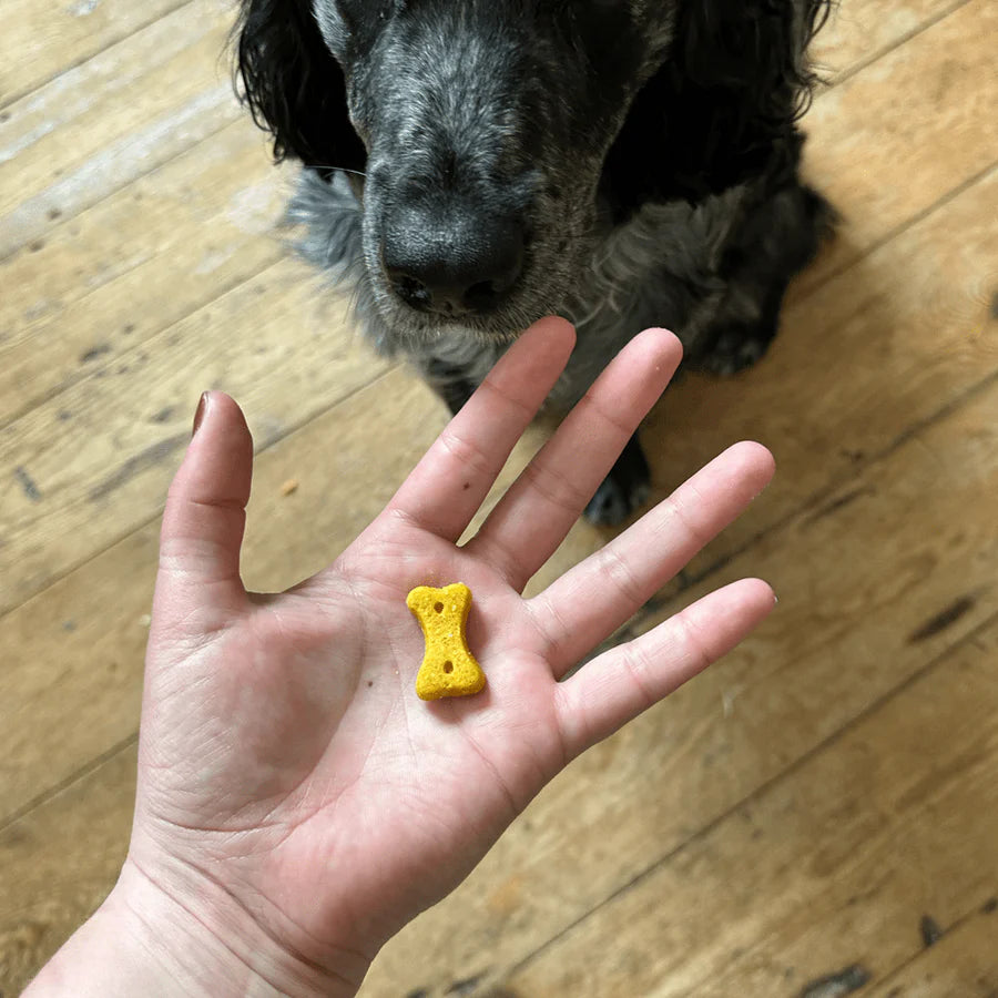 Beco : Peanut Dog Treats with Coconut & Turmeric (70g)