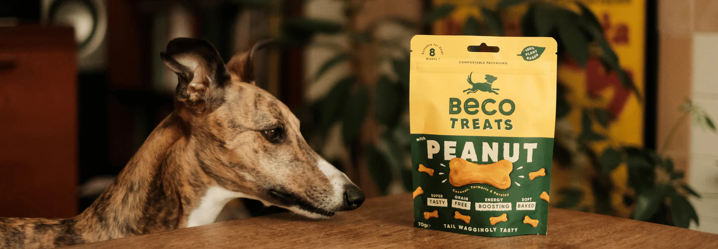 Beco : Peanut Dog Treats with Coconut & Turmeric (70g)