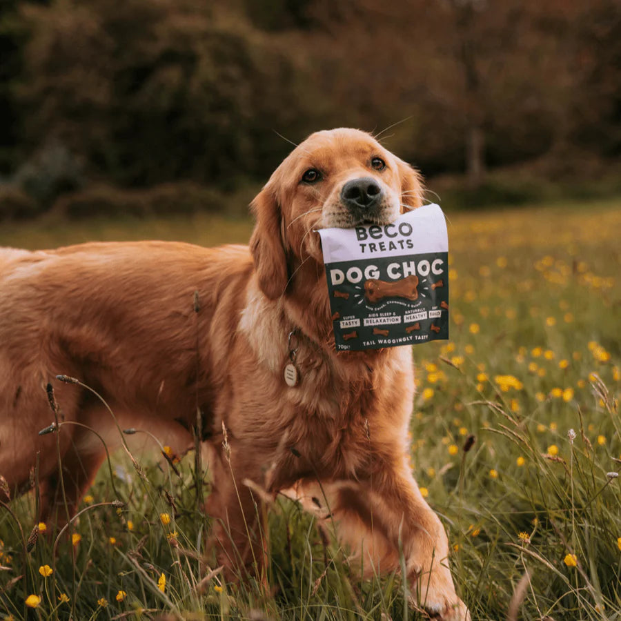 Beco : Dog Choc Treats with Carob, Chamomile & Quinoa (70g)