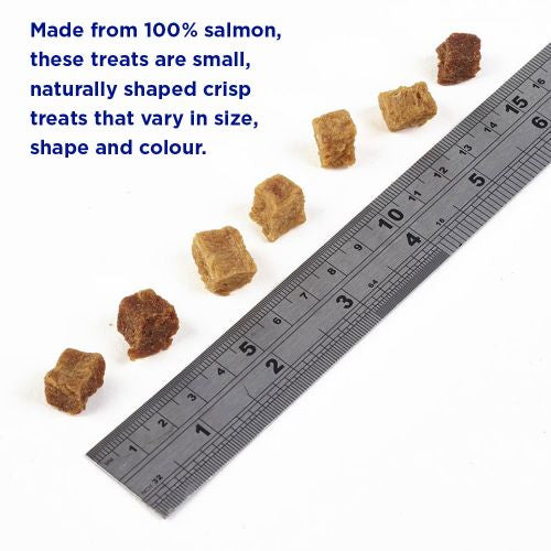 FISH4DOGS : Training Salmon Bites (80g)