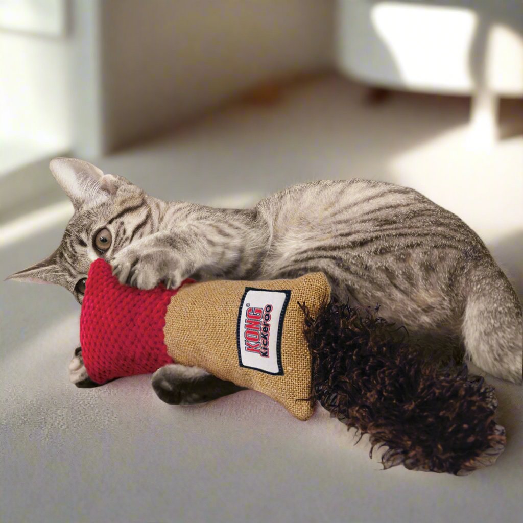 KONG® Kickeroo Cuddler