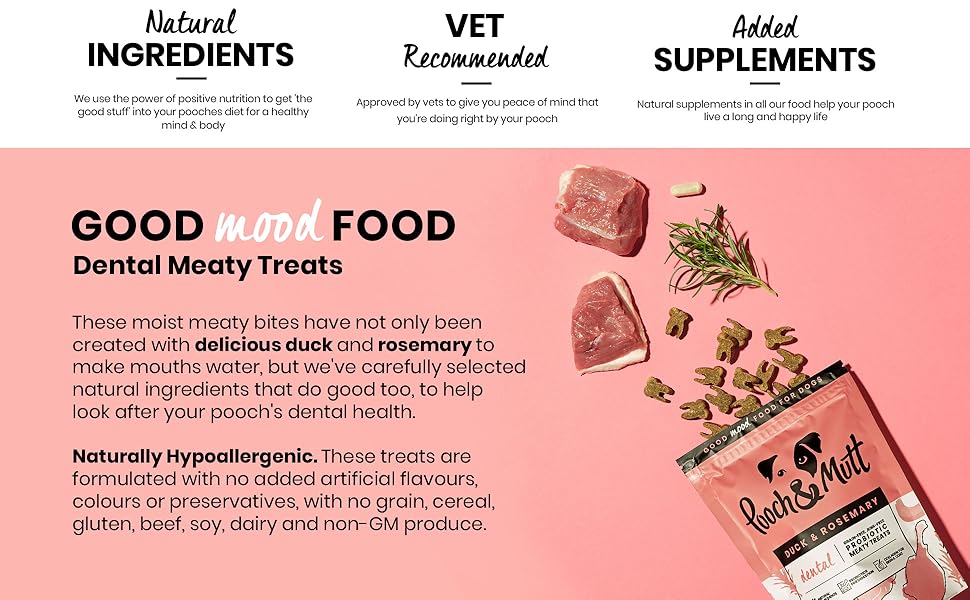 Dental Probiotic Meaty Dog Treats, Duck & Rosemary (120g)