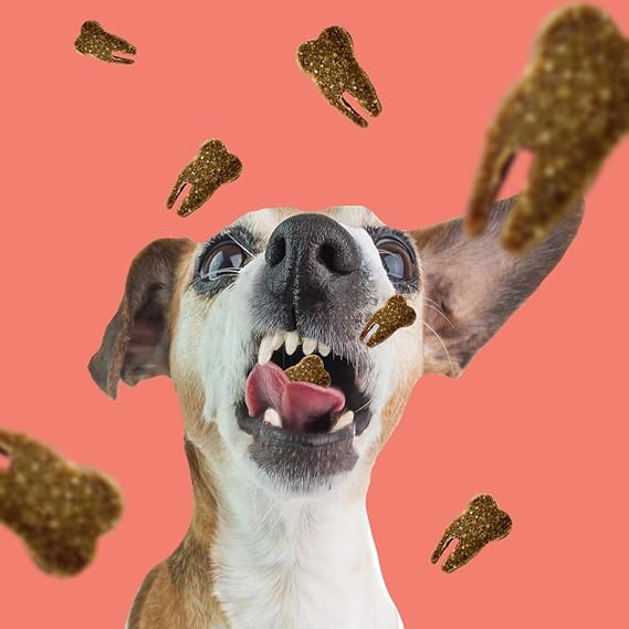 Dental Probiotic Meaty Dog Treats, Duck & Rosemary (120g)