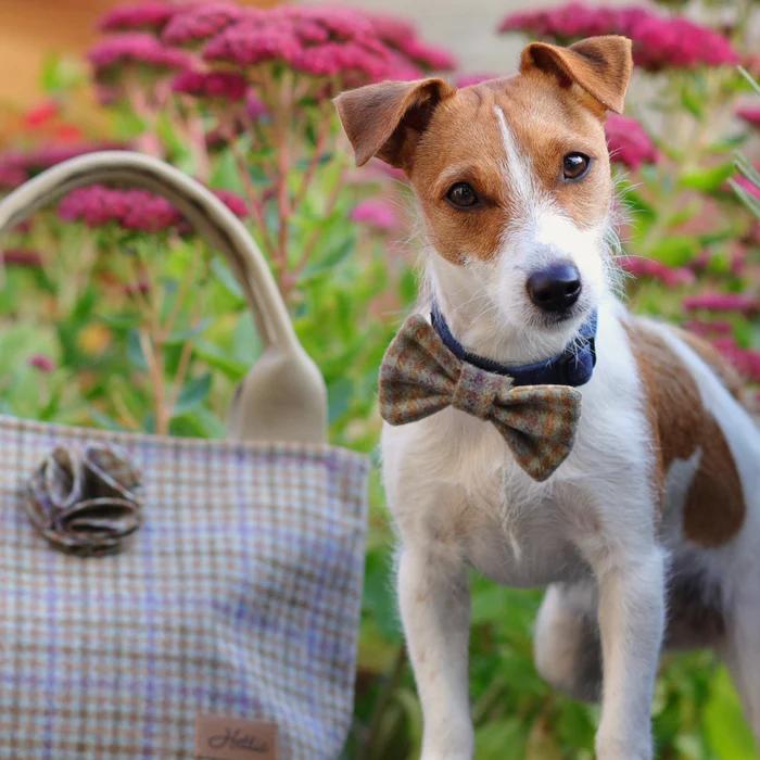 Hettie - Handmade British accessories from dog collars to tote bags