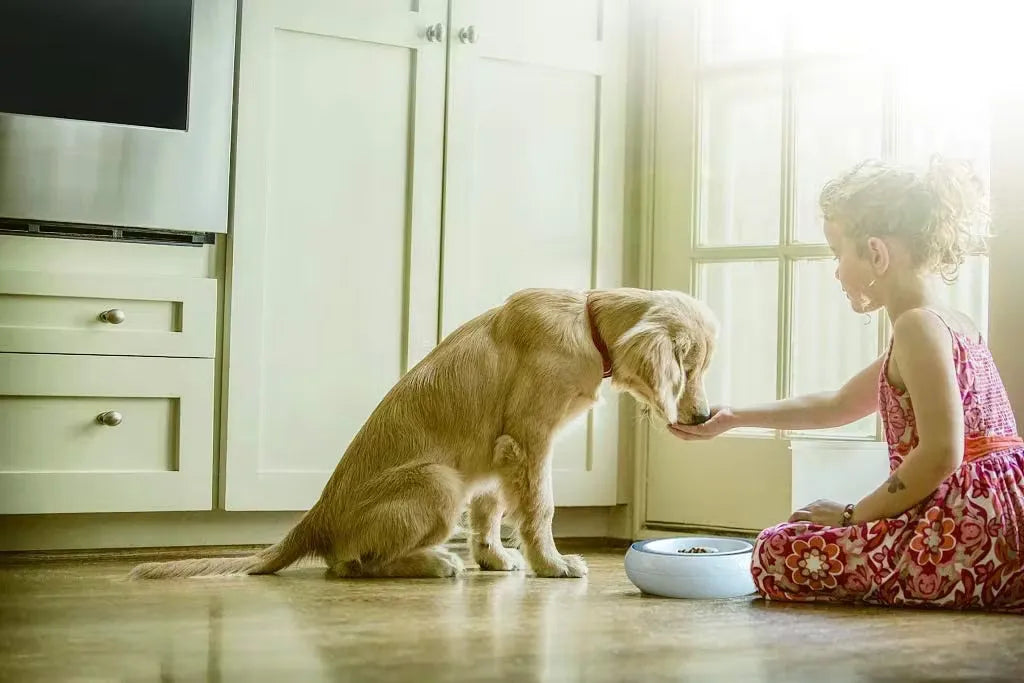 PetGeek 2 In 1 Smart Bowl