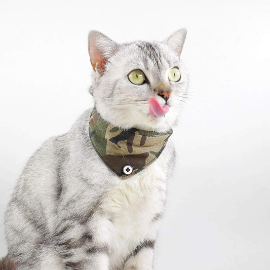 Pet collar & bandana - Green