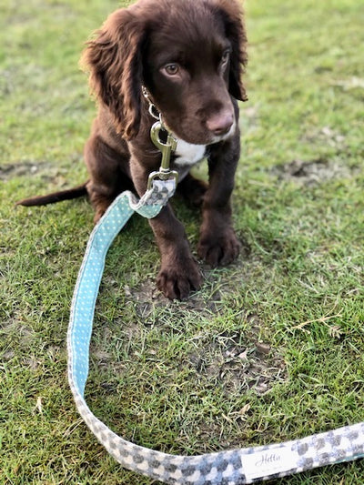 Dog Lead - Holborn Taupe