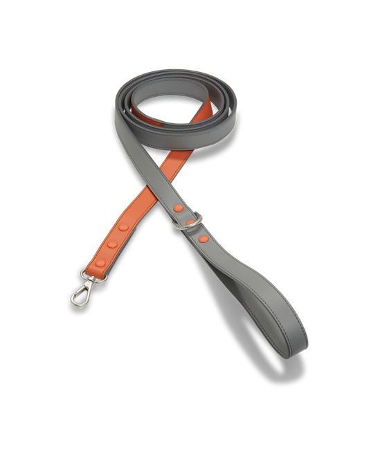 PAWNESS Vegan Leather Dog leash - Coral (Made in ITALY)