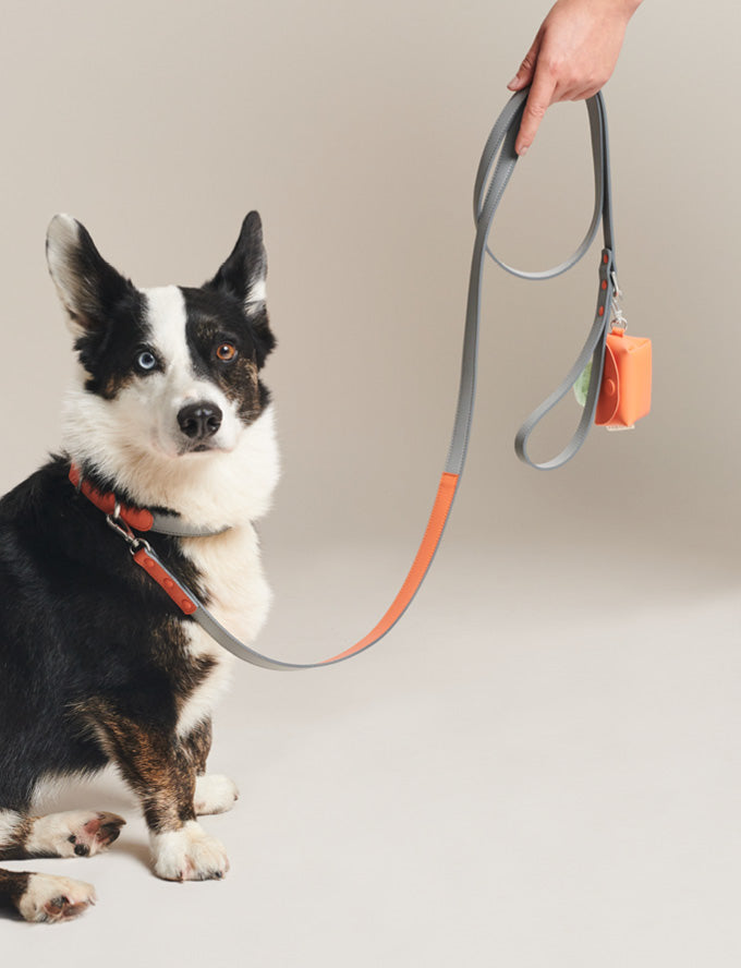 PAWNESS Vegan Leather Dog leash - Coral (Made in ITALY)