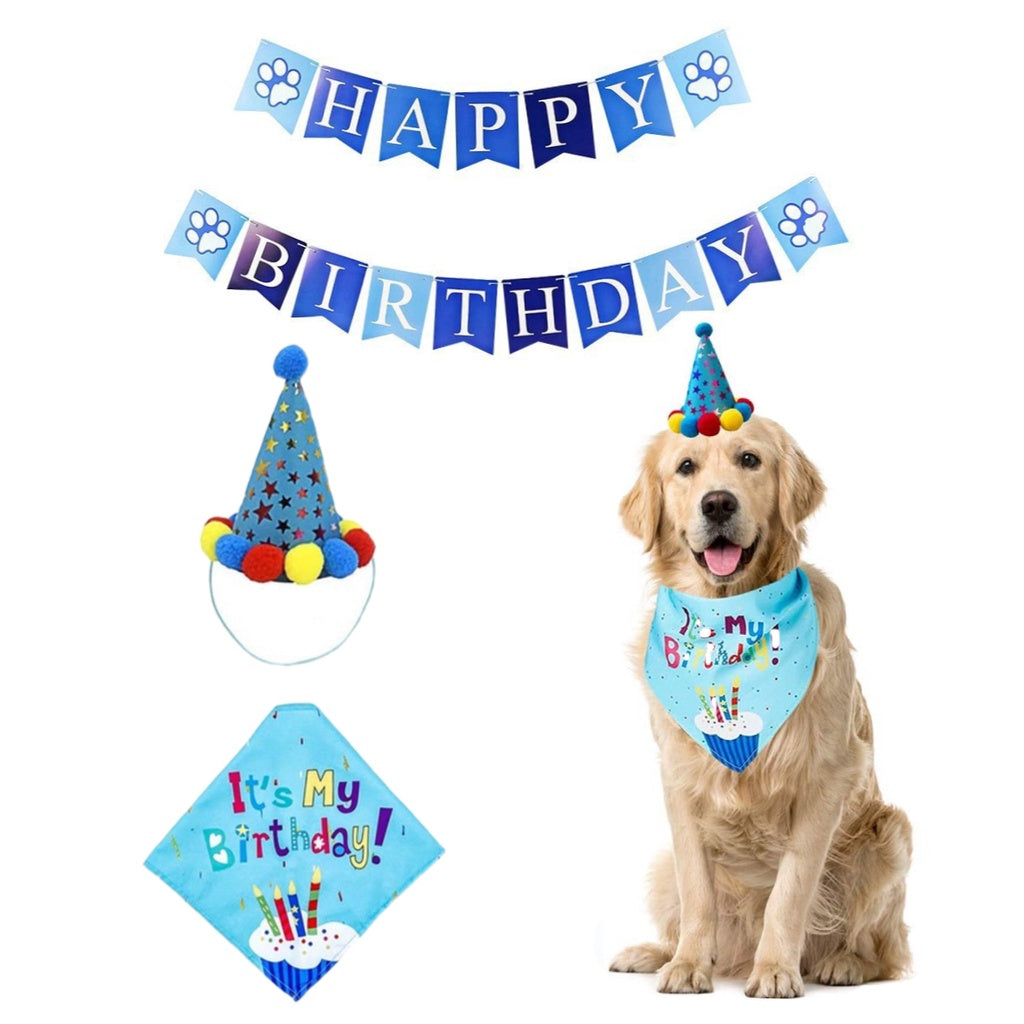 Birthday Decoration & Party Accessories - BLUE