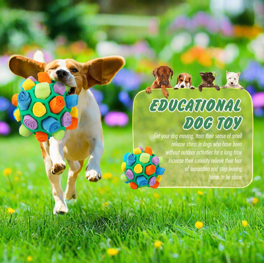 Interactive Dog Puzzle Toys, Educational Foraging Toy Slow Feeder