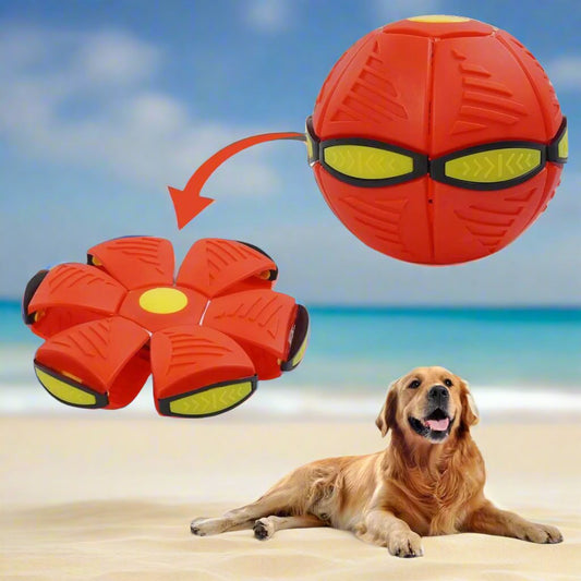 Doggy Disc Ball