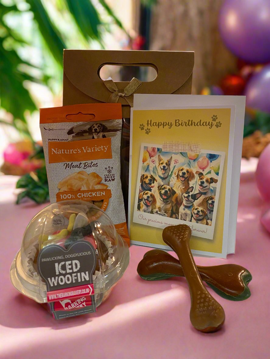 Doggy BiRthDay Gift Bag - Mix2