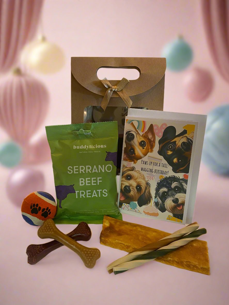 Doggy BiRthDay Gift Bag - Mix