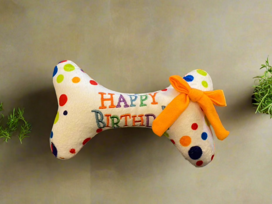 Doggy BiRthDay Gift Bag - Mix3