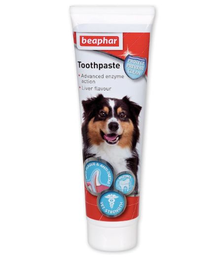 Beaphar Liver Flavoured Toothpaste for Cats & Dogs