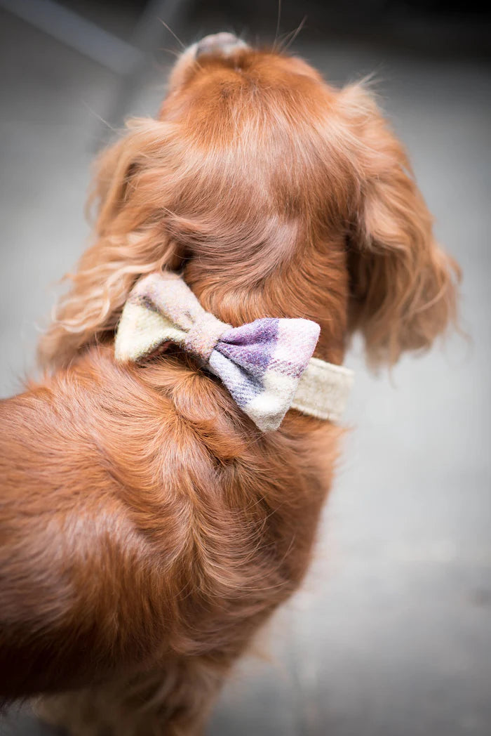 LUXURY DOG BOWTIE by Hettie (9 colorways)