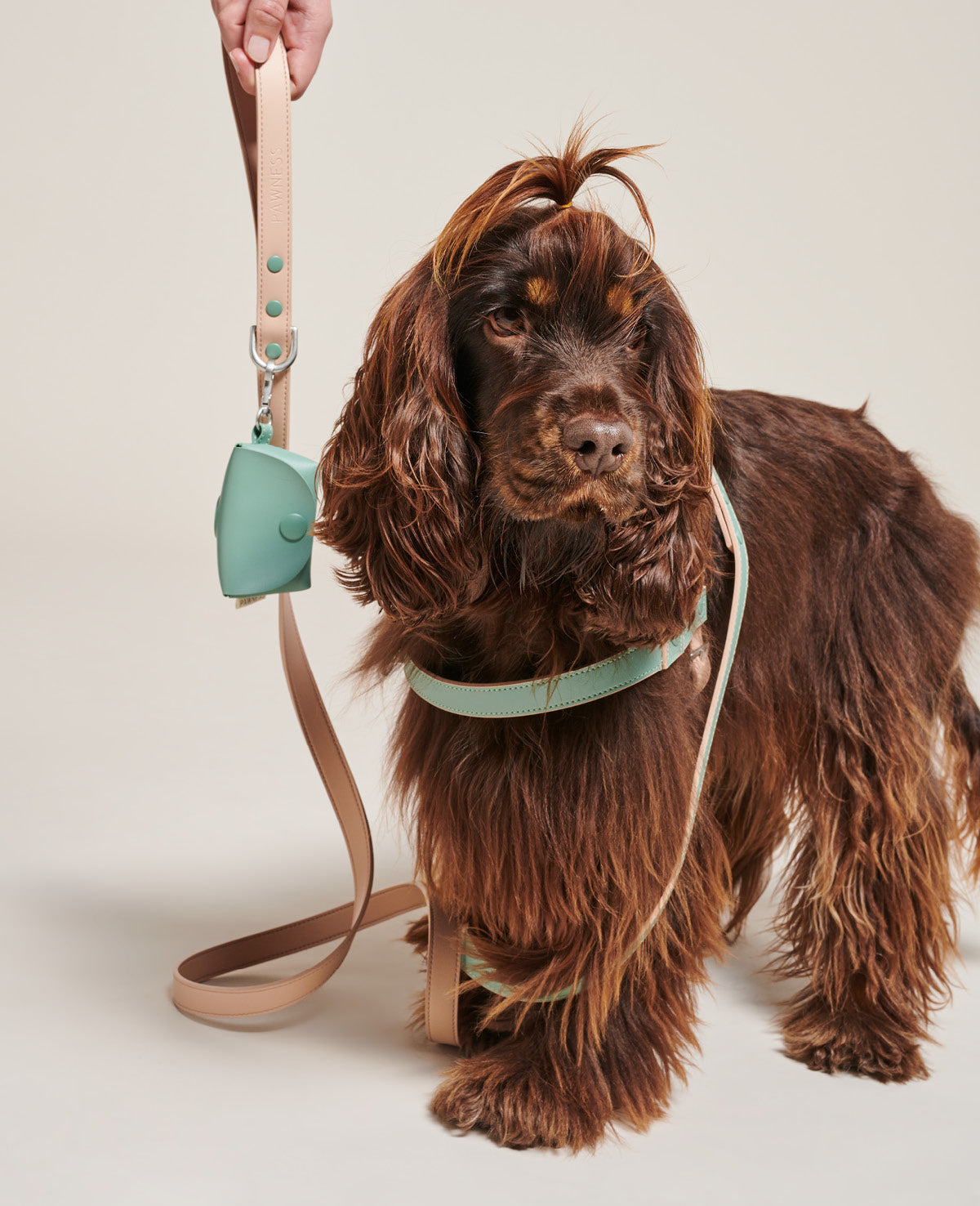 PAWNESS Vegan Leather Harness - Emerald (Made in Italy)