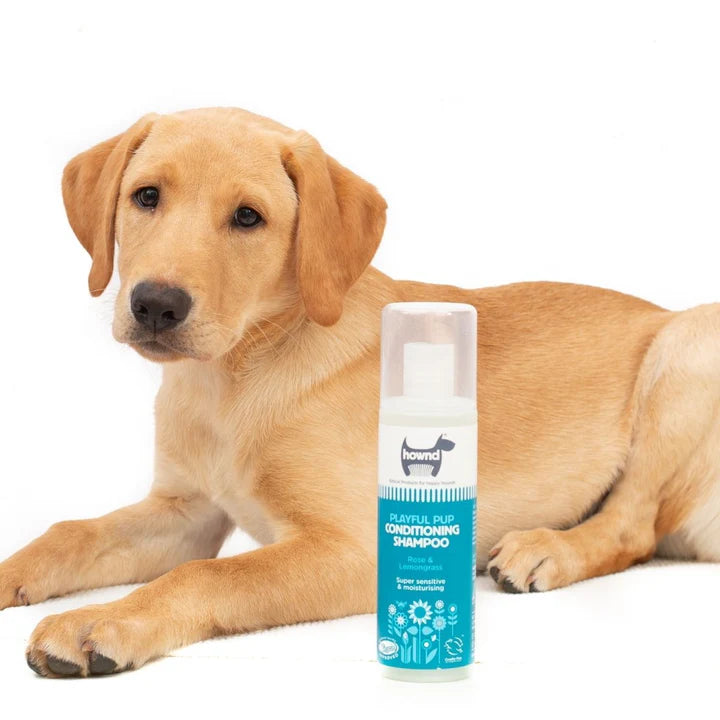 Playful Pup Conditioning Shampoo 250ml