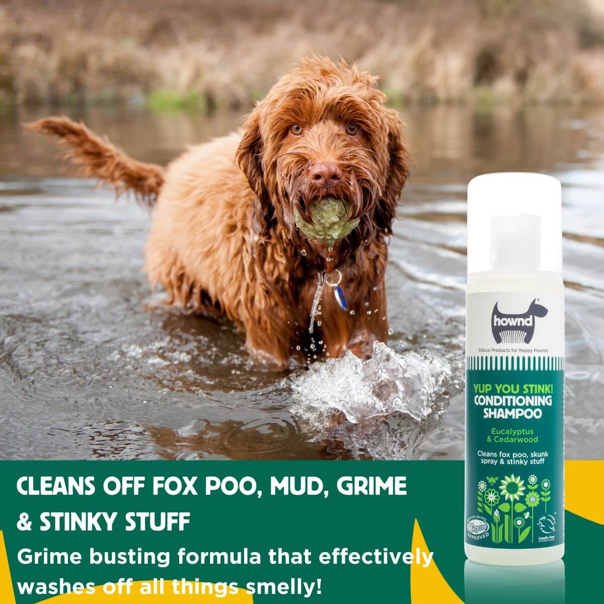 Yup You Stink! Conditioning Shampoo (250ml)