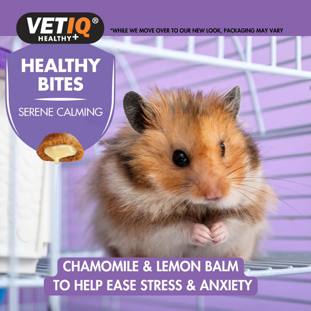 VETIQ® Healthy Bites Serene Calming for Small Animals (30g)