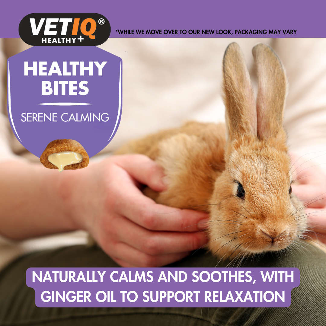 VETIQ® Healthy Bites Serene Calming for Small Animals (30g)