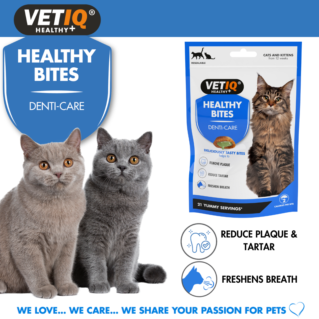 VETIQ® Healthy Bites Denti-Care For Cats & Kittens (65g)