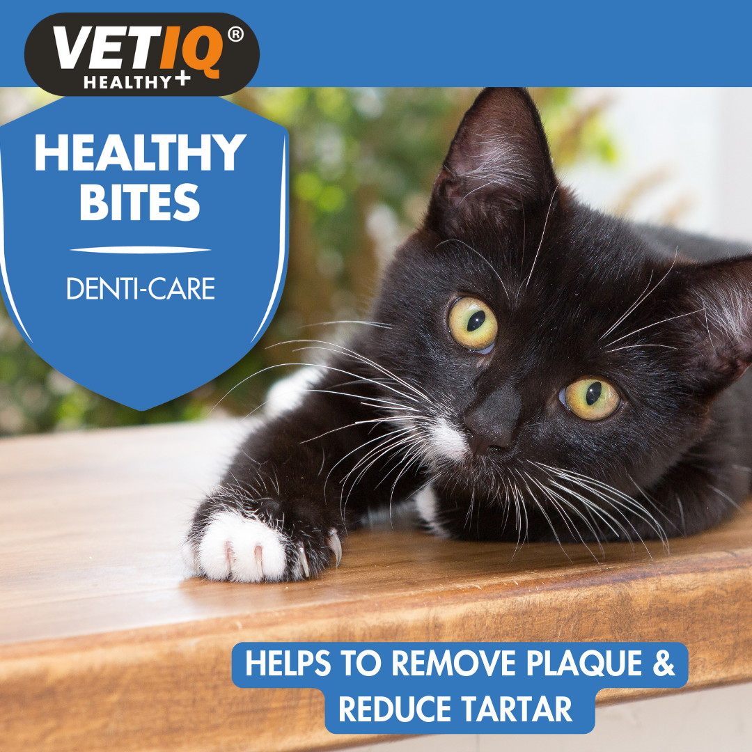 VETIQ® Healthy Bites Denti-Care For Cats & Kittens (65g)